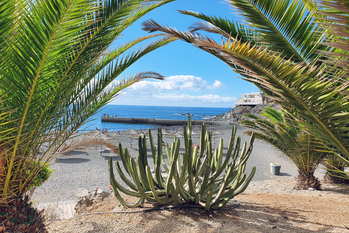 Teneryfa -Callao Salvaje-Dolcetto