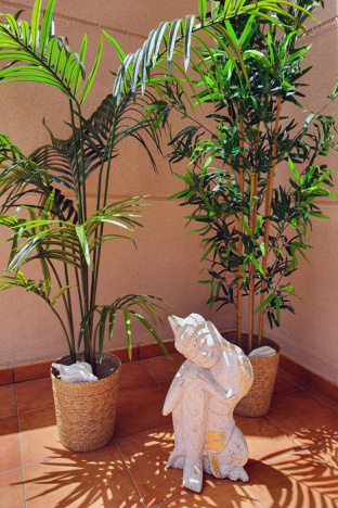 Tenerife-Torviscas-Casa Todo