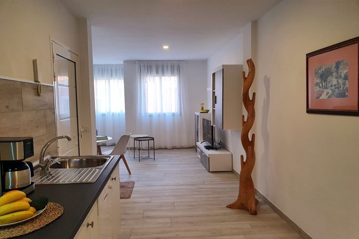 Teneryfa -Alcala-Pelican