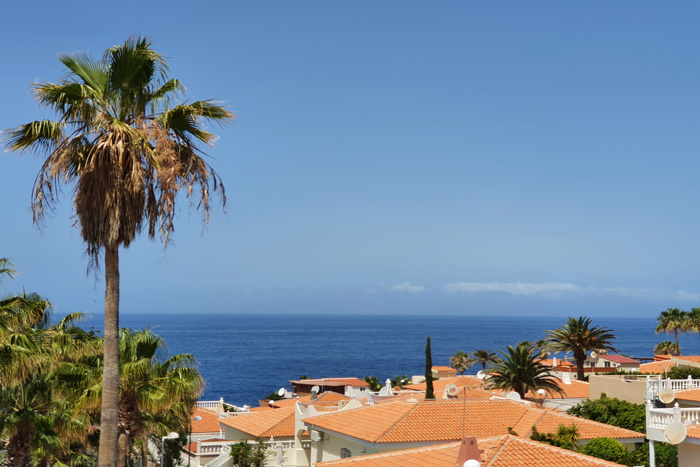 Tenerife-Callao Salvaje- Lirio